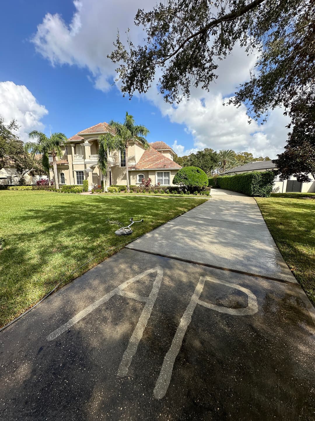 Elegant home with lush landscaping, palm trees, and a walkway featuring painted letters "AP."